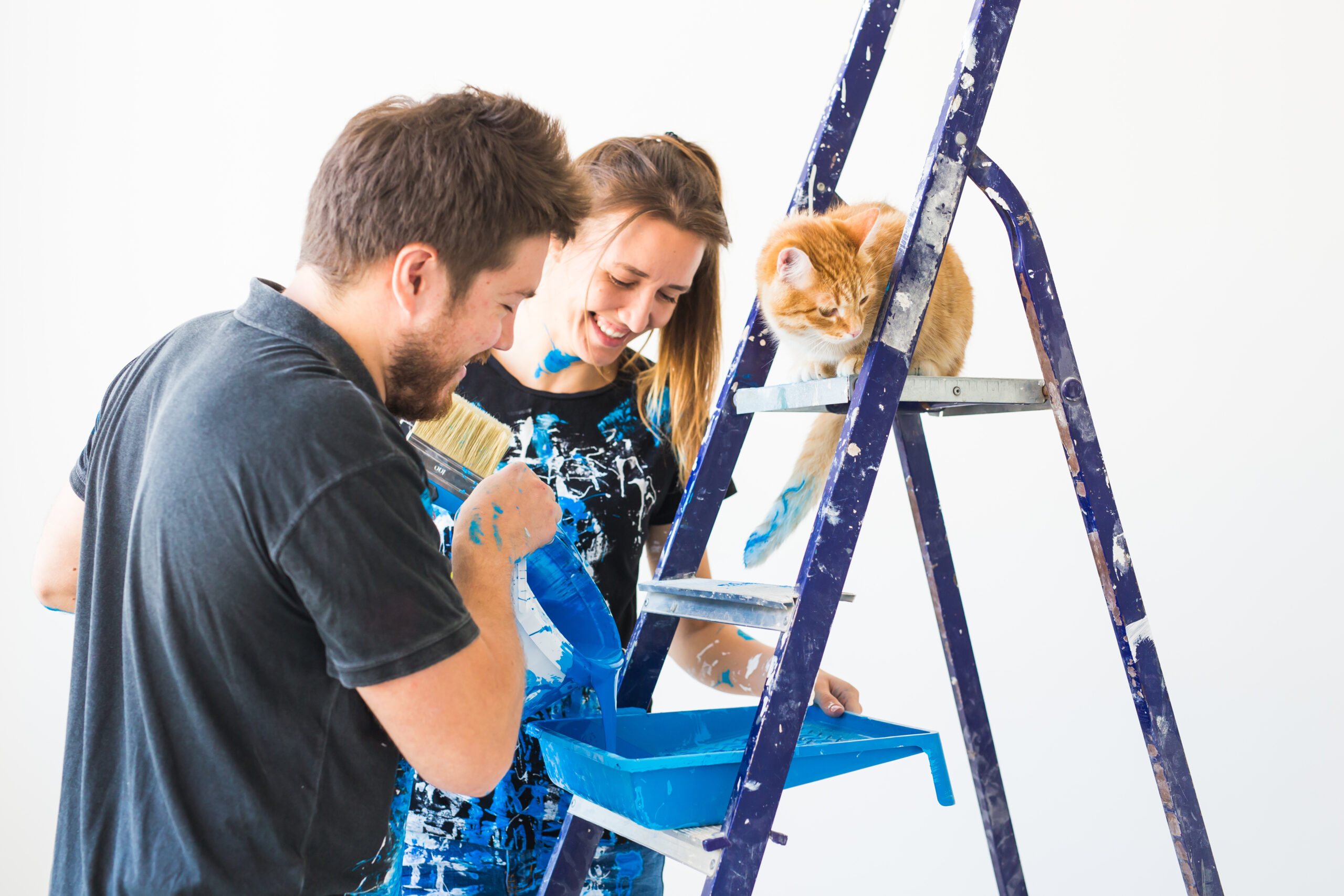 Couple laughs while painting with blue paint, cat watches from ladder